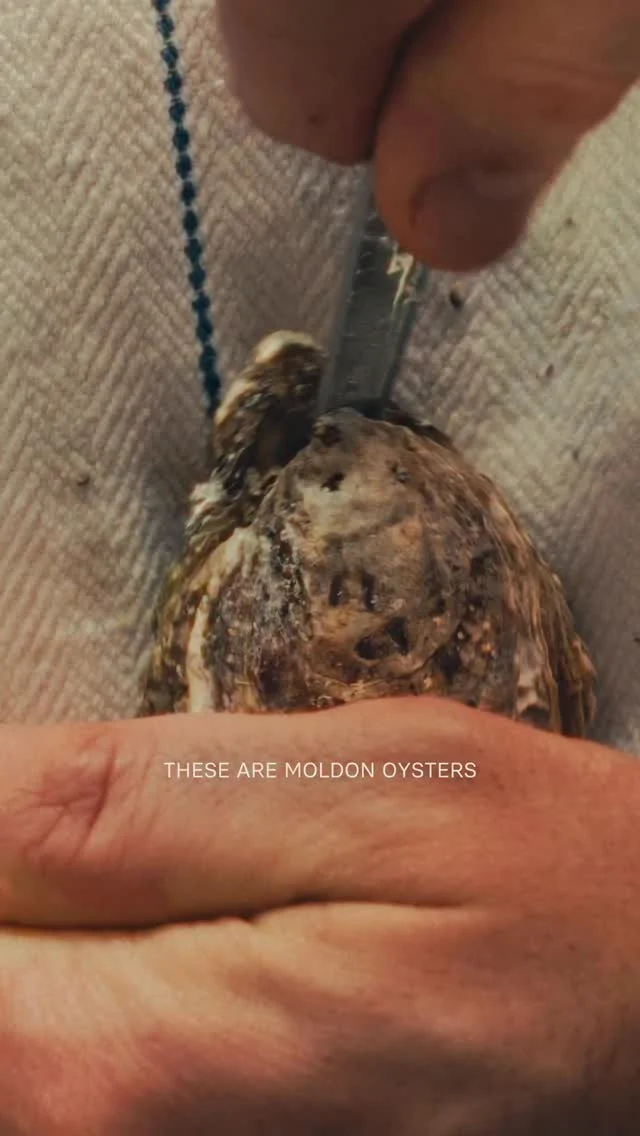 In our opinion, a good meal should always start with oysters.

We source @cometa.restaurant&rsquo;s from Maldon, where the Blackwater estuary meets the cold waters of the North Sea. Fresh, briny and deceptively moreish. They come with the house 𝘳𝘢𝘴𝘶𝘳𝘢𝘥𝘰, think of it like a Mexican mignonette, full of citrus, herbs and a touch of spice.

And if you like things hot, then there&rsquo;s the Petr&oacute;leo. A tiny pipette that packs a punch, made with lacto-fermented chillies like trepadedos, bonfire and pepper peach lifted with gooseberry, banana and persimmon. It&rsquo;s dangerously good.

Mix and match, or keep it classic. Either way, it&rsquo;s a very good place to start.