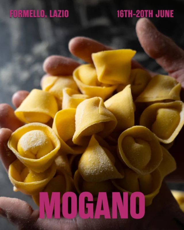 In the hills north of Rome, Matteo Faenza&rsquo;s elegant tasting menus are becoming the stuff of legend.

Winner of Italy&rsquo;s coveted &lsquo;𝘌𝘮𝘦𝘳𝘨𝘦𝘯𝘵𝘦 𝘊𝘩𝘦𝘧&rsquo; award last year, Matteo&rsquo;s delicate and technically brilliant celebration of Italian fine-dining takes creative inspiration from his time at Borag&oacute; (Santiago de Chile) -  currently No. 23 in the World&rsquo;s 50Best - and Michelin-starred Nerua, the jewel in the crown of Bilbao&rsquo;s Guggenheim Museum. Mogano, however, is unquestionably (and delightfully) Italian.

Working with the best of Lazio&rsquo;s fertile landscape, Matteo creates gastronomic theatre for just five softly-lit tables at a time, drawing fine dining lovers from across Italy to the sleepy town of Formello with tasting menus of &lsquo;Asparagus, Almond and Black Garlic&rsquo;, &lsquo;Sesame Seed and Cypress Cone Risotto&rsquo; and &lsquo;Oxtail, Cardoon and Artichoke&rsquo; (&lsquo;𝘤𝘰𝘥𝘢, 𝘤𝘢𝘳𝘥𝘰 𝘦 𝘤𝘢𝘳𝘤𝘪𝘰𝘧𝘰&rsquo; in Italian).

Mogano is the kind of dining experience that gets us very excited. An emerging mega talent doing something truly wonderful, somewhere truly wonderful, brought to your doorstep right here in London for five blink-and-you&rsquo;ll-miss-them nights.

ᴮᴼᴼᴷ ᴵᴺ ⱽᴵᴬ ᵀᴴᴱ ᴸᴵᴺᴷ ᴵᴺ ᴮᴵᴼ